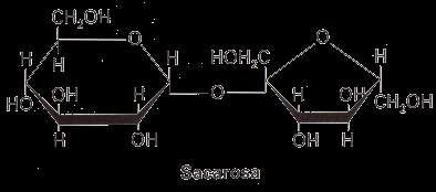 Sacarosa: disacárido formado por una molécula de α-d-glucopiranosa y otra de β-