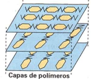 HOMOPOLISACÁRIDOS CON FUNCIÓN DE ESTRUCTURAL Quitina: - Polímero de N-acetil-D-glucosamina (un