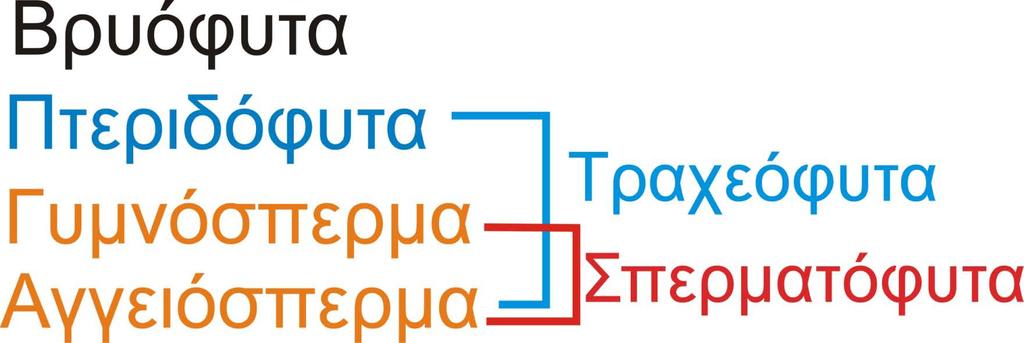 Η κατάταξη των ειδών από την άποψη του εγγενούς πολλαπλασιασμού.