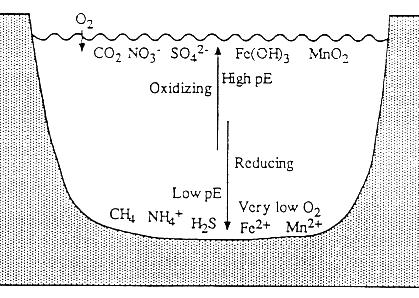 1. Οξειδοαναγωγικές αντιδράσεις στα φυσικά υδατικά συστήματα Το ph ενός φυσικού υδατικού συστήματος