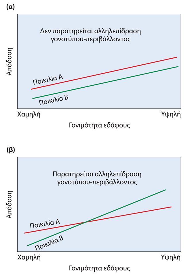 Αλληλεπίδραση γενοτύπου περιβάλλοντος Συχνά παρατηρούμε έλλειψη «συνέπειας» στην απόδοση των φαινοτύπων, όταν αυτοί συγκρίνονται μεταξύ τους, όταν αλλάζει το περιβάλλον της σύγκρισης