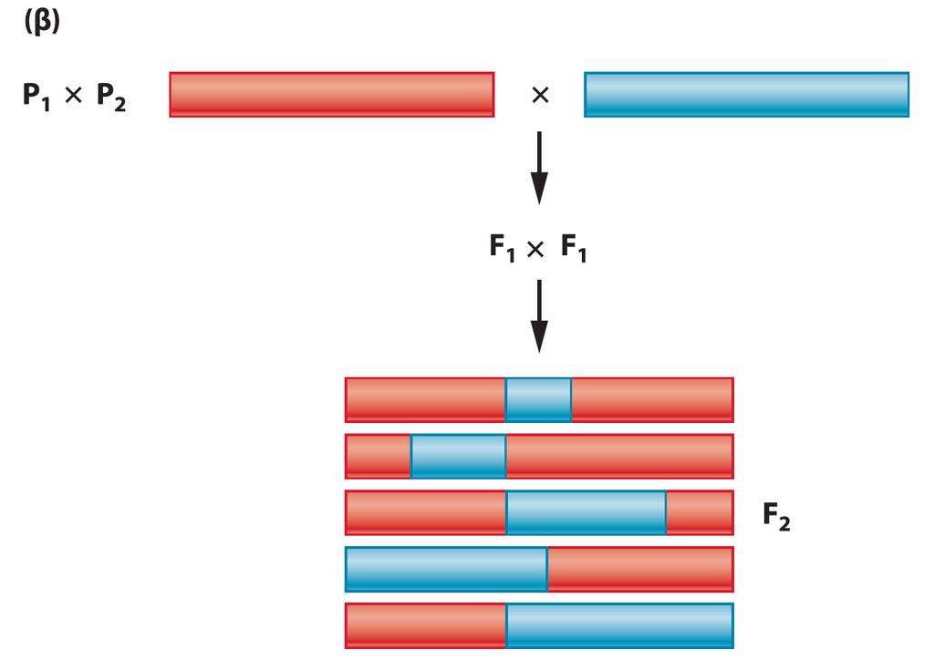 Πηγή: Klug et al.