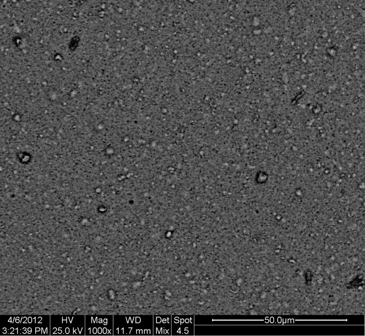 V. Σχήμα 30: Μικρογραφίες SEM για P.C.