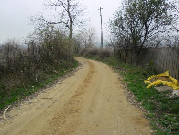 perioadele ploioase), ceea ce face ca in timpul primaverii