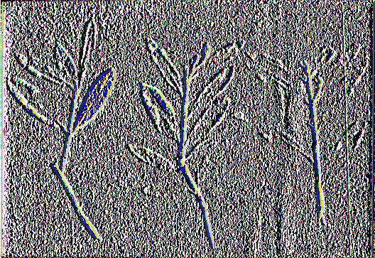κλα δίσκων