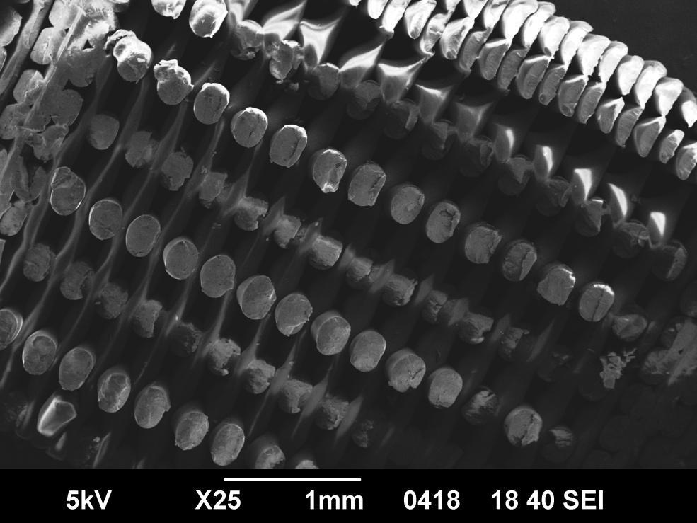 Σαρώσεις Μηχανήματος SEM για υλικό ABS Plus Εικόνα 5.1.2.