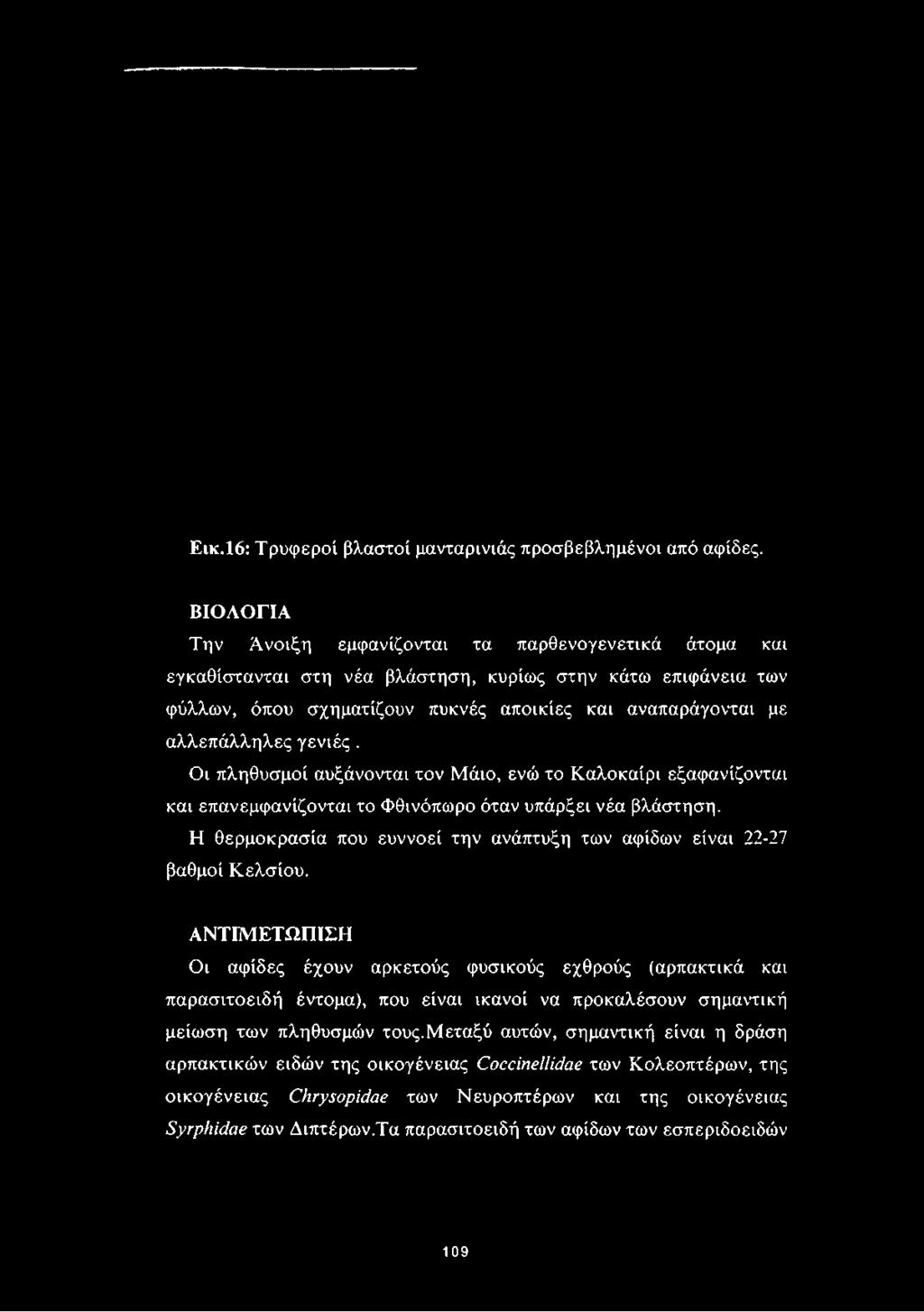 σχηματίζουν πυκνές αποικίες και αναπαράγονται με αλλεπάλληλες γενιές.