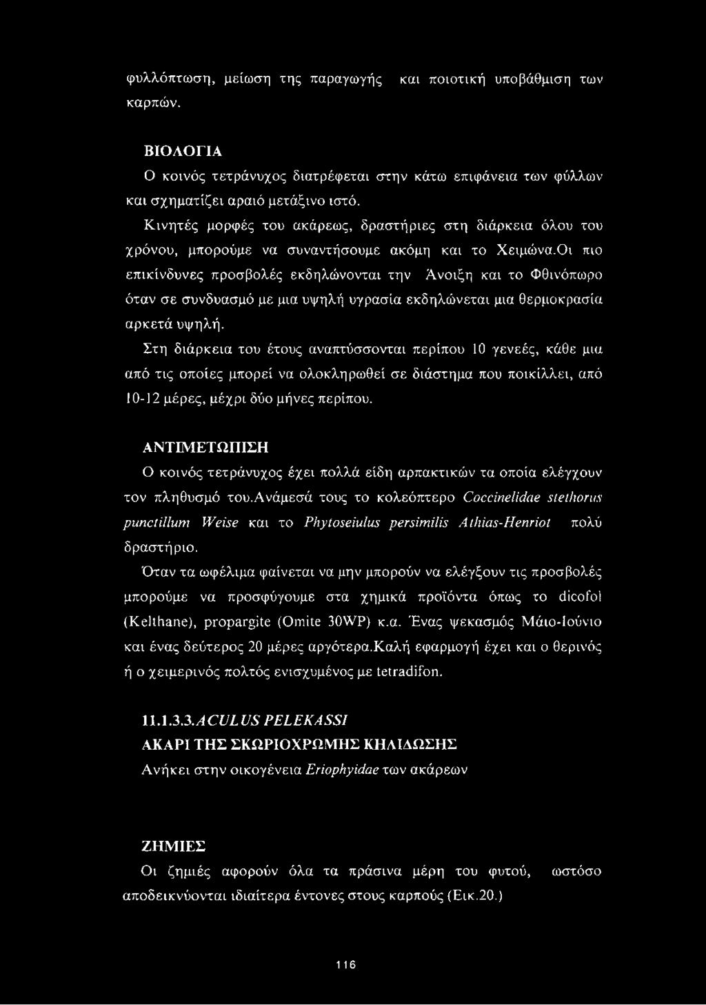 Οι πιο επικίνδυνες προσβολές εκδηλώνονται την Άνοιξη και το Φθινόπωρο όταν σε συνδυασμό με μια υψηλή υγρασία εκδηλώνεται μια θερμοκρασία αρκετά υψηλή.