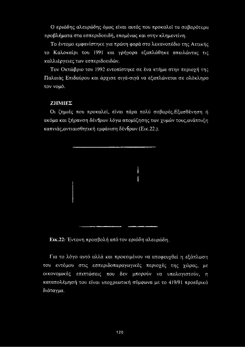 εσπεριδοειδών.