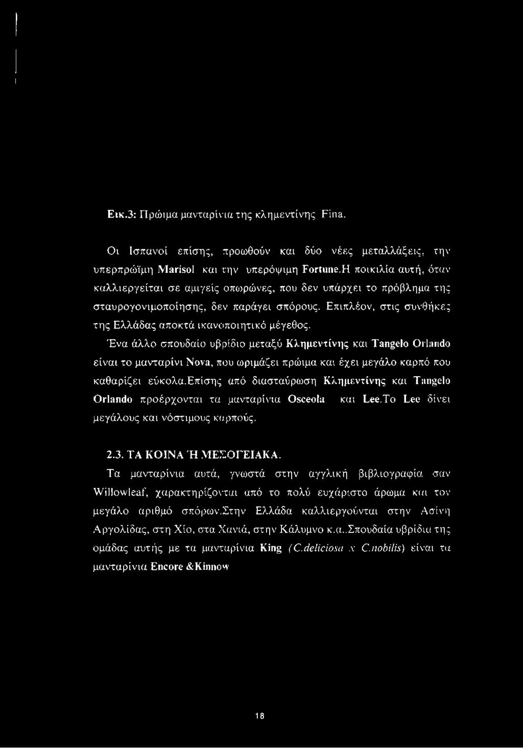 XXX κρυφό σεξ βίντεο