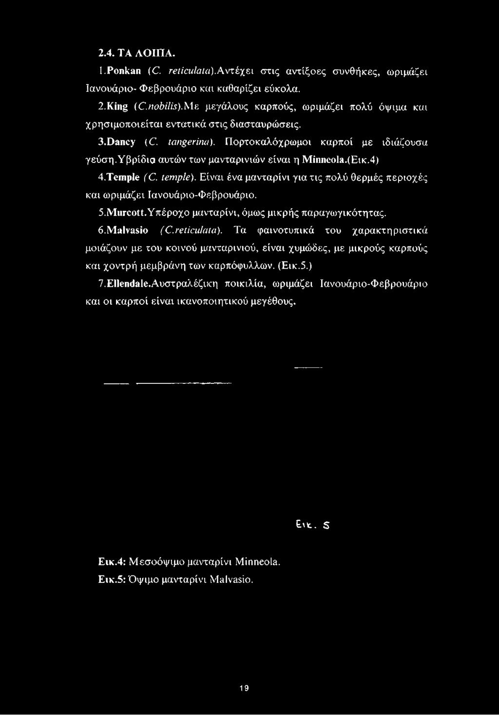 Πορτοκαλόχρωμοι καρποί με ιδιάζουσα γεύση.υβρίδια αυτών των μανταρινιών είναι η Minneola.(EiK.4) 4. Temple (C. temple).