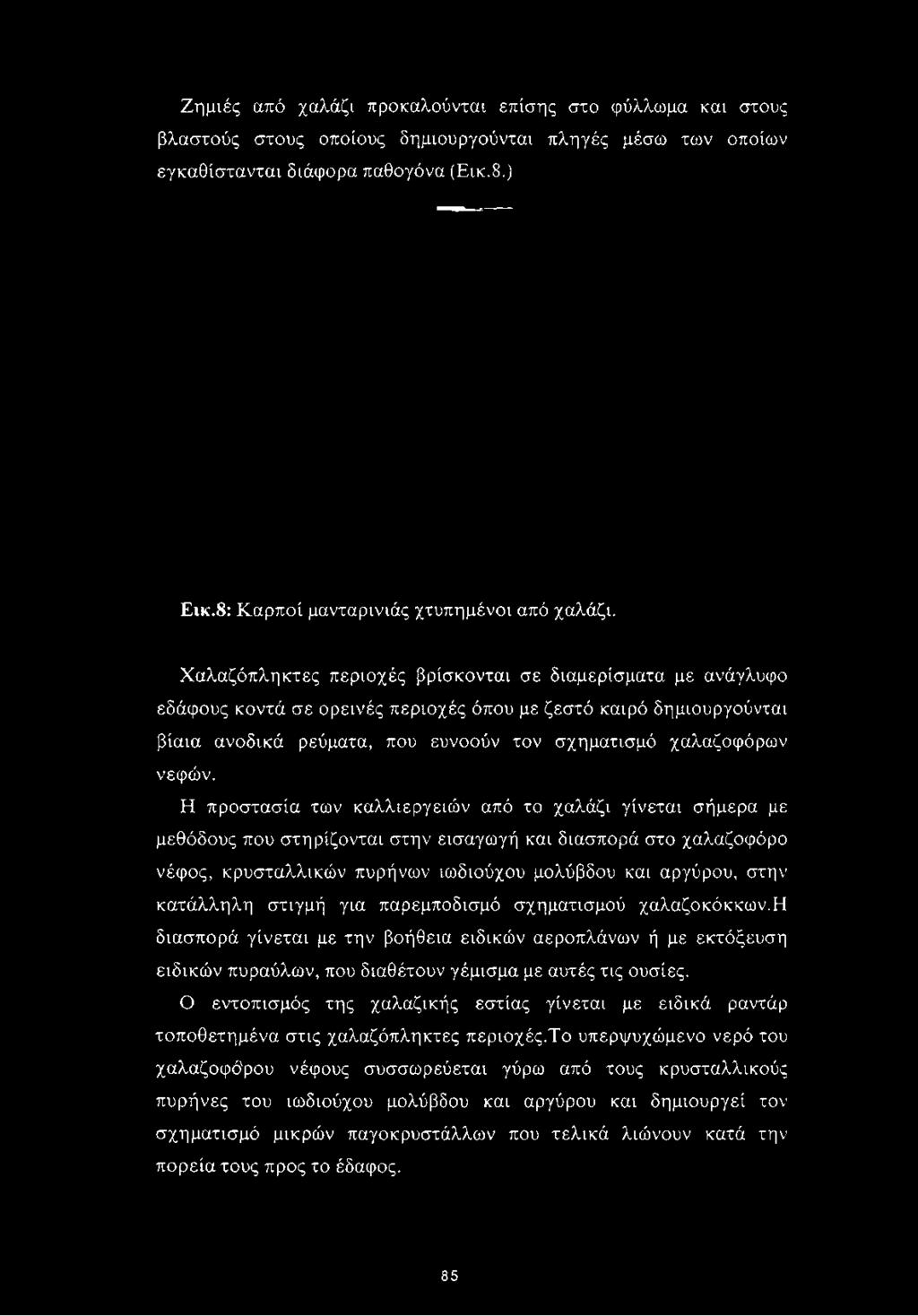 Ζημιές από χαλάζι προκαλούνται επίσης στο φύλλωμα και στους βλαστούς στους οποίους δήμιουργούνται πληγές μέσω των οποίων εγκαθίστανται διάφορα παθογόνα (Εικ.8.) Εικ.
