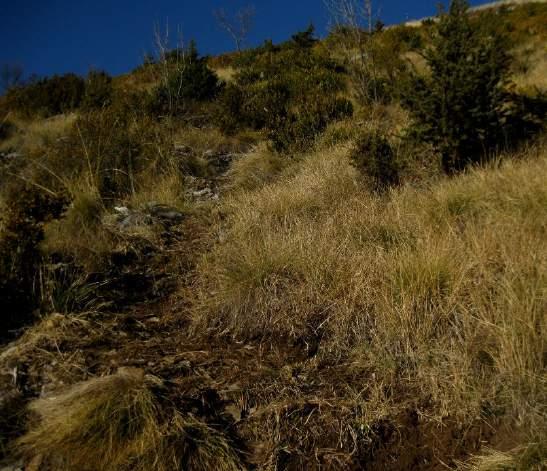 Κοιτώντας προς τα πίσω, η έξοδος από το οροπέδιο της Μπάρας