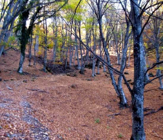 περιοχή του Ξερολακκίου προσφέρει ιδιαίτερη θέα προς την βόρεια πλευρά του Ολύμπου Η ανάβαση προς