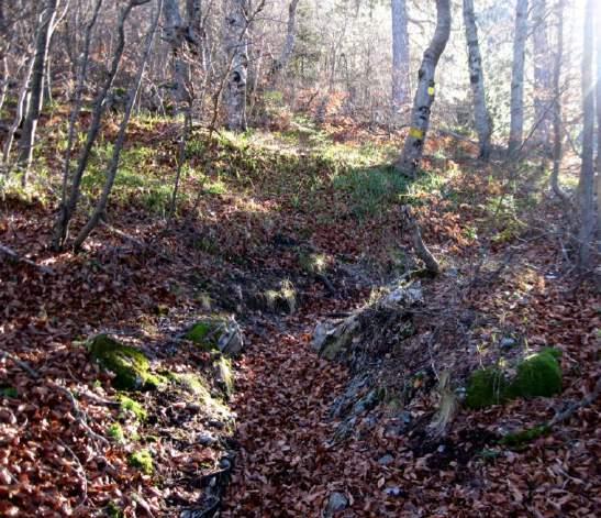 Λίγο πριν το (μικρό) οροπέδιο της Πετρόστρουγκας η διαδρομή διασχίζει χαρακτηριστικό ξέφωτο με