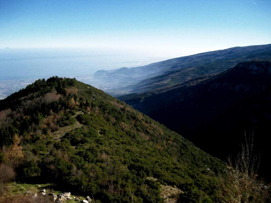 Εικόνα 42: Η θέα προς τα νότια από χαρακτηριστικό πλάτωμα κοντά στο ψηλότερο σημείο του δρόμου Λεπτοκαρυά Καρυά.