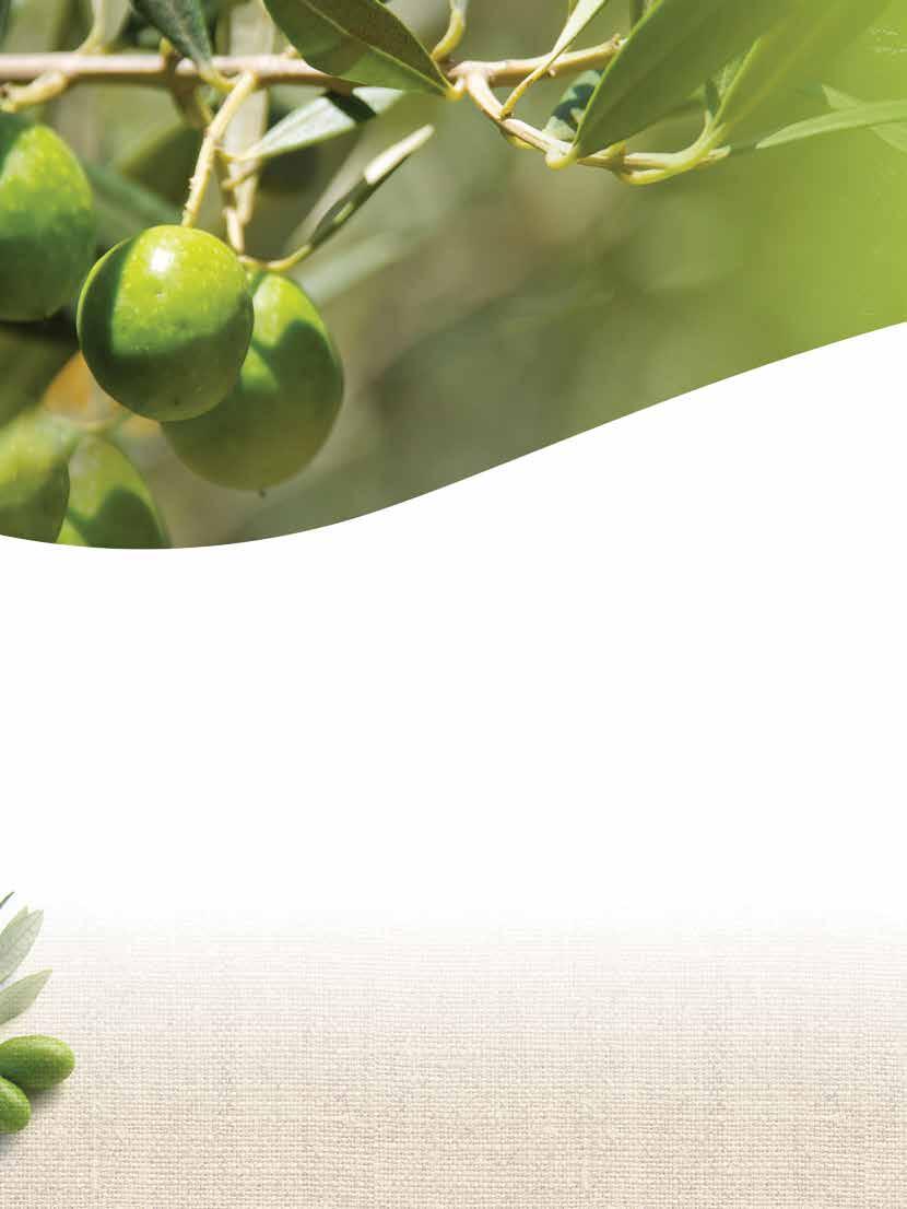 Σύστημα ΚΟΜΒΙ ΒΕΝΖΙΝΟΚΙΝΗΤΑ Σωλήνες προέκτασης: Aλουμίνιο 50 cm: 75 (συν. μήκος 2,79m) Xάλυβας 100 cm: 95 (συν. μήκος 3,29m) Carbon 100 cm: 130 (συν. μήκος 3,29m) SP 451 1.