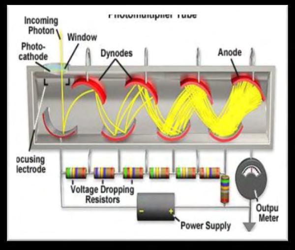 Η αρχή λειτουργιάς των φωτοπολλαπλασιαστών στηρίζεται στο φωτοηλεκτρικό φαινόμενο καθώς τα φωτόνια που προσπίπτουν στην φωτοκάθοδο του