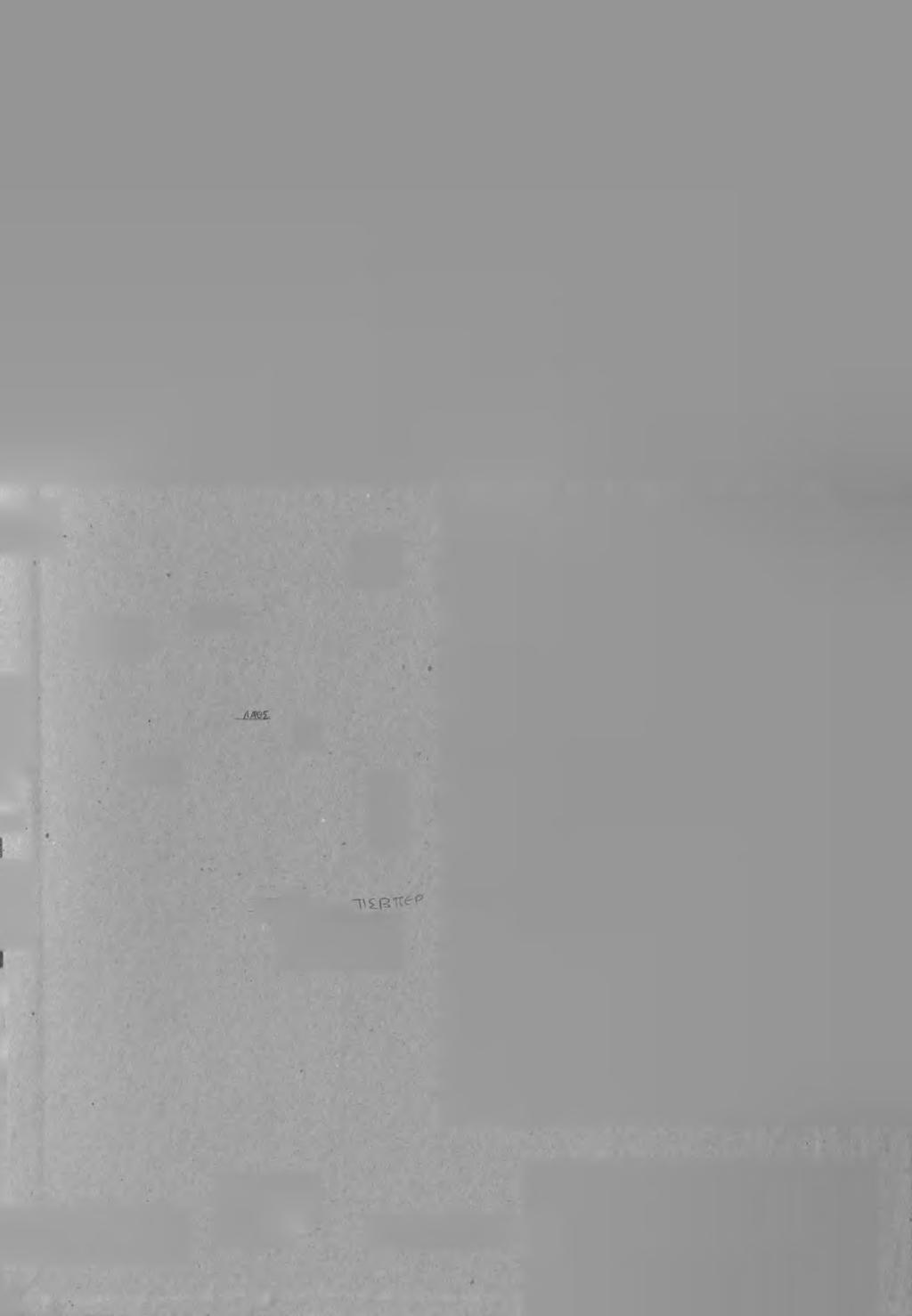 . Λ J ' "