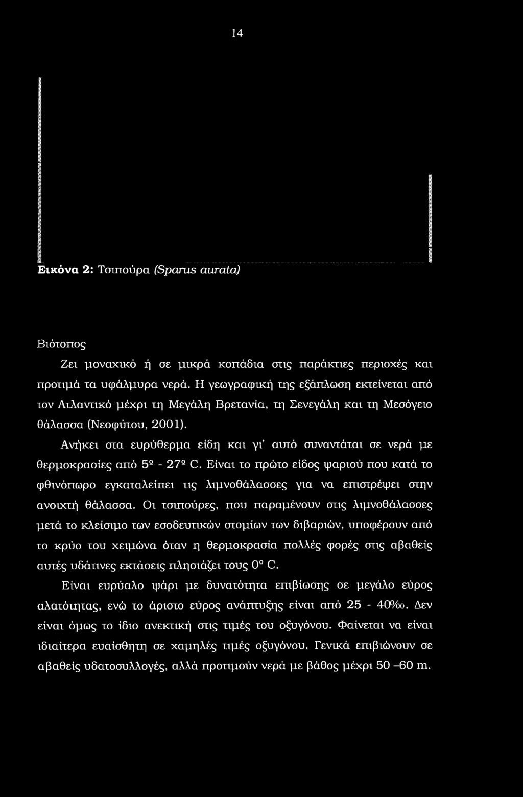 Οι τσιπούρες, που παραμένουν στις λιμνοθάλασσες μετά το κλείσιμο των εσοδευτικών στομίων των διβαριών, υποφέρουν από το κρύο του χειμώνα όταν η θερμοκρασία πολλές φορές