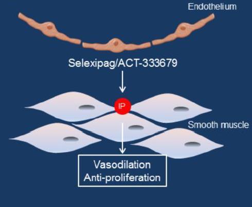 Selexipag Oral IP