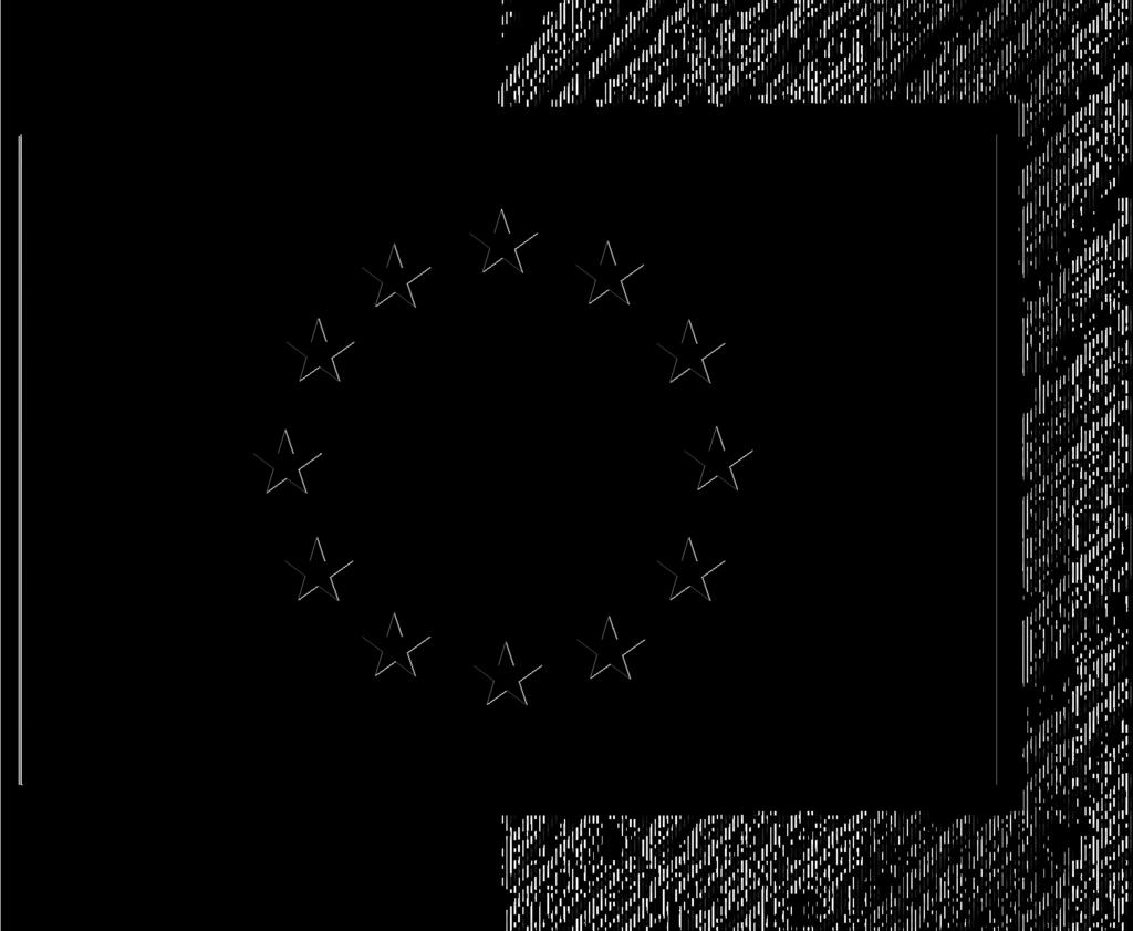 Αναπαραγωγή σε μονοχρωμία Εάν διατίθεται μόνο μαύρο χρώμα, πρέπει να πλαισιώνεται το ορθογώνιο με μαύρη διαχωριστική γραμμή και να τοποθετούνται τα αστέρια μέσα στο πλαίσιο αυτό με μαύρο πάνω σε