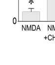 mglur5 και NMDARs παρουσία του