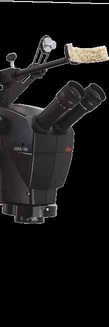 Το μικροσκόπιο Leica A60, το δευτερεύον στήριγμα εγγράφων, η βάση στήριξης κάμερας και ο δακτυλιοειδής φακός LED Optia LED διατίθενται ξεχωριστά.