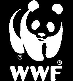 Eccentric College Team Lion Tiger Σεντόνια WWF Duvet Covers 36,00 45,00 από ύφασμα 00% βαμβακερό 44 κλωστών Σετ σεντόνια: σεντόνια 60x60 +