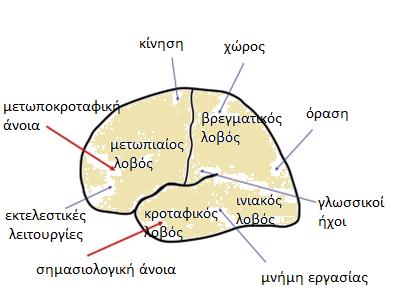 ΠΠΑ-σ (2/2) Προοδευτική