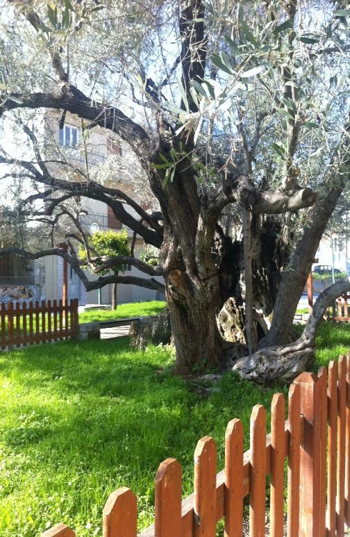 Πεισίστρατου Aπό τον λόφο