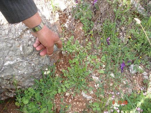Κληρονομιάς της Ελλάδας ανάδειξη της άυλης πολιτισμικής αξίας των προϊόντων και της