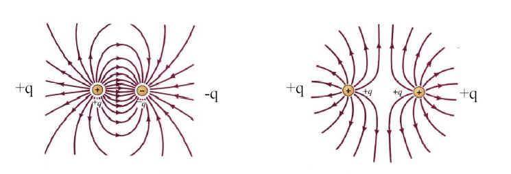 Fusha elektrike quhet e njëtrajtëshme kur në të gjitha pikat e saj vektori fushë E është i njëjtë. Në këtë rast vijat e fushes elektrike nuk ndërpriten.