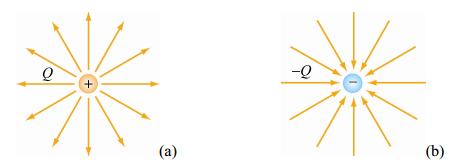 Fig. 4.10. Vijat e fushës për a) ngarkesën pozitive dhe b) ngarkesën negative.