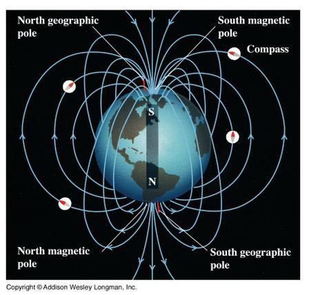 magnetik verior i saj (fig. 8.4). Fig. 8.4. Vendosja e poleve te busullës në sipërfaqen e Tokës.