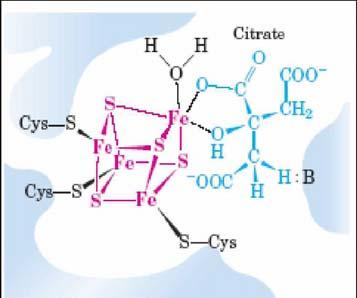 Ο-, και Ν- οργανικά ligands 96 ΜΙΤΟΧΟΝΔΡΙΟ Ακέτυλο-CoA κιτρικό ΚΥΤΤΑΡΟΔΙΑΛΥΜΜΑ κιτρικό Ακέτυλο-CoA οξαλοξικό οξαλοξικό NADH πυροσταφυλικό πυροσταφυλικό μηλικό NADPH Σχήμα 5.6.3: Μεταφορά της ακέτυλο-coa από τα μιτοχόνρδια στο κυτταρόπλασμα Επιπρόσθετα, το κιτρικό οξύ συμμετέχει σε ένα μεγάλο αριθμό ενζυμικών συστημάτων.