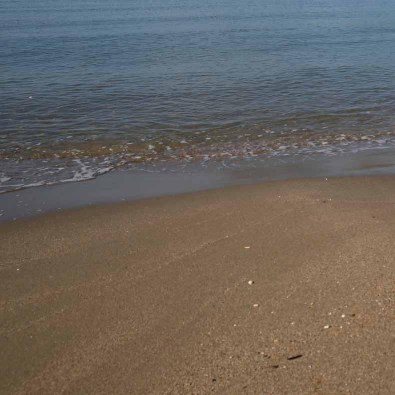 Σεπτέμβριος ΣΑΒΒΑΤΟ 2 ΣΕΠΤΕΜΒΡΙΟΥ, 20:00 4ο Φεστιβάλ Μουσικής Ολύμπου Βιβλιοθήκη Ολύμπου «Αριστόδικος» Παλαιό Σχολείο Ολύμπου, Καλύβια ΠΕΜΠΤΗ 14 ΣΕΠΤΕΜΒΡΙΟΥ, 20:30 Βραδιά Μνήμης Μικρασιατικής