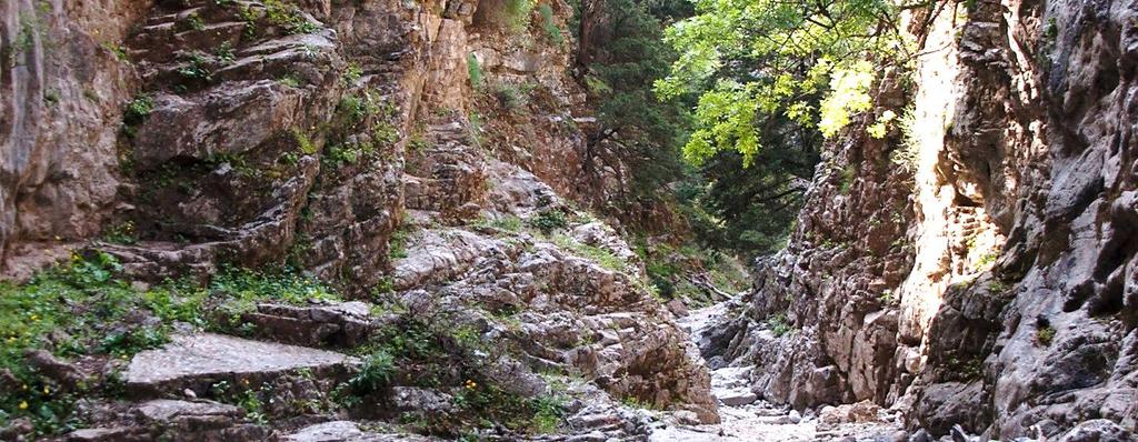 Σύλλογος Κουστογεράκου Σελίνου Καντανολέων Δήμος Καντάνου-Σελίνου Φορέας Διαχείρισης