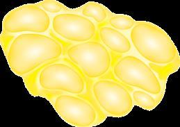 Insulin