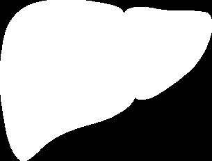 IR Liver
