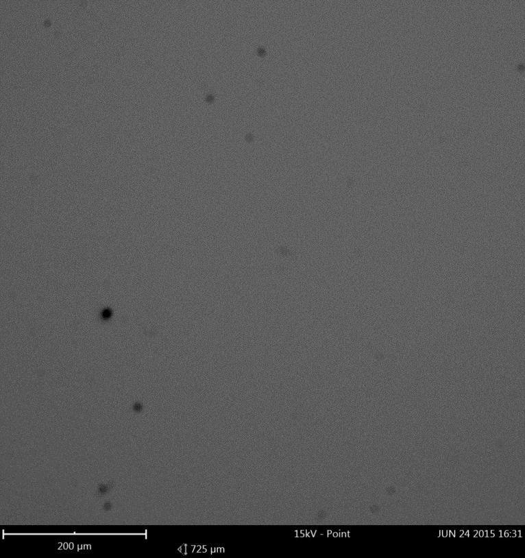 Φαίνεται οπτικά, φαίνεται όμως και στις χημικές αναλύσεις, πως τα δοκίμια αυτά έχουν πολύ φτωχή συγκέντρωση ZnO nanoflowers. Δοκίμιο CdSe, 10 λεπτών λουτρού Στην εικόνα 6.2.