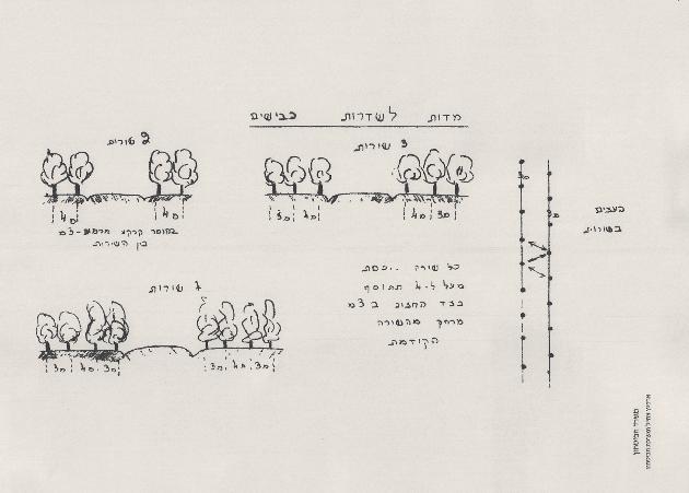 הוועדה הגדירה את הבעיה במילים הבאות: "מישורי הנגב המערבי והדרומי-מערבי, החסרים כל צמחייה והמיושבים בצורה דלילה, חשופים כמעט לגמרי לתצפית אווירית ובמידה רבה מאוד גם לתצפית מהקרקע.