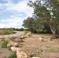 יער, גיליון מס' 14, מרץ 2015, ניסן תשע"ה מצפור ויקר במאגר משמר השרון מצפור ויקר במאגר משמר השרון הוא אתר צפייה נהדר בעופות מים, שנבנה על ידי קק"ל כחלק