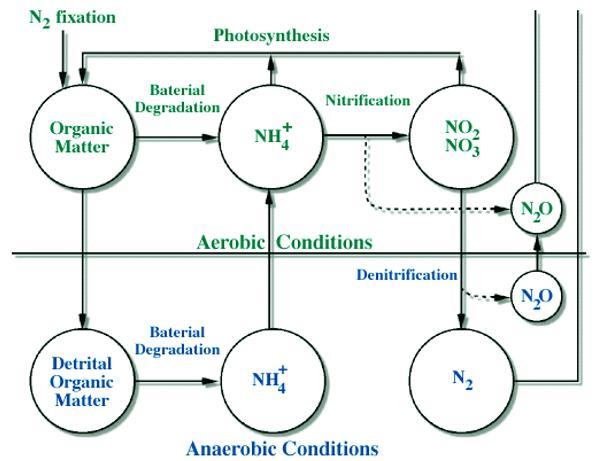 Aerobic and anaerobic conditions Πηγή: http://www.globalchange.umich.