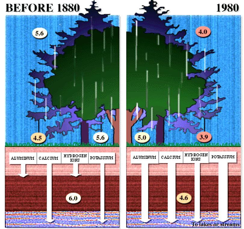 Before 1880-1980 Πηγή: http://www.globalchange.umich.