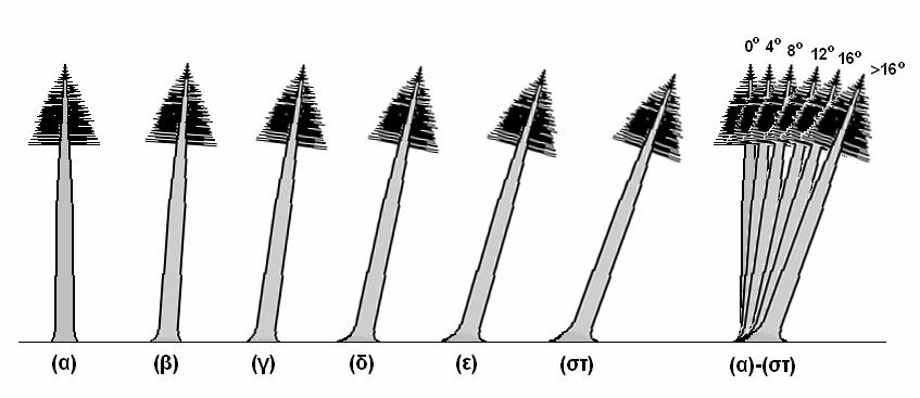 - 63 - Η απόκλιση από την κατακόρυφη θέση του δέντρου, καταγράφηκε σε μοίρες και η κατηγοριοποίηση που χρησιμοποιείται (βλέπε πίνακα 5.2.