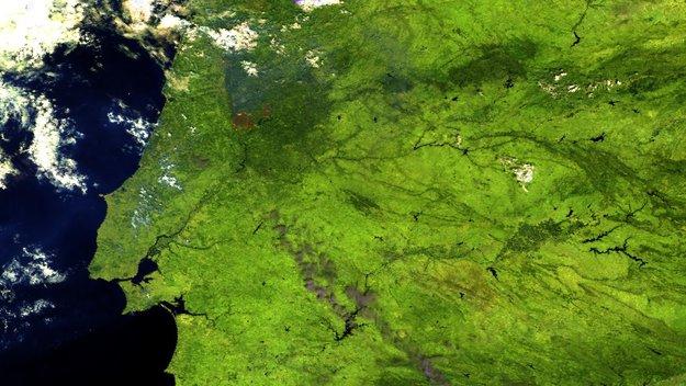 αναμενόμενο, το σύστημά μας δεν είναι τέλειο και κάποιες εικόνες ενδέχεται να το ξεγελάσουν, όπως