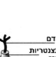 בניית עצם,("Bone Remodeling עיצוב מחדש ("g ("Bone Absorption מאידך.