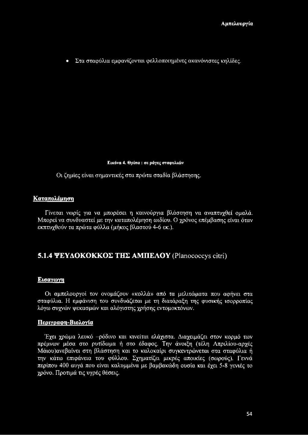 Ο χρόνος επέμβασης είναι όταν εκπτυχθούν τα πρώτα φύλλα (μήκος βλαστού 4-6 εκ.). 5.1.