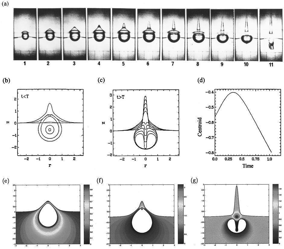 Κεφάλαιο 1 Εισαγωγή Οι Robinson et al. [23] ασχολήθηκαν με την αλληλεπίδραση φυσαλίδων σπηλαίωσης με ελεύθερη επιφάνεια.